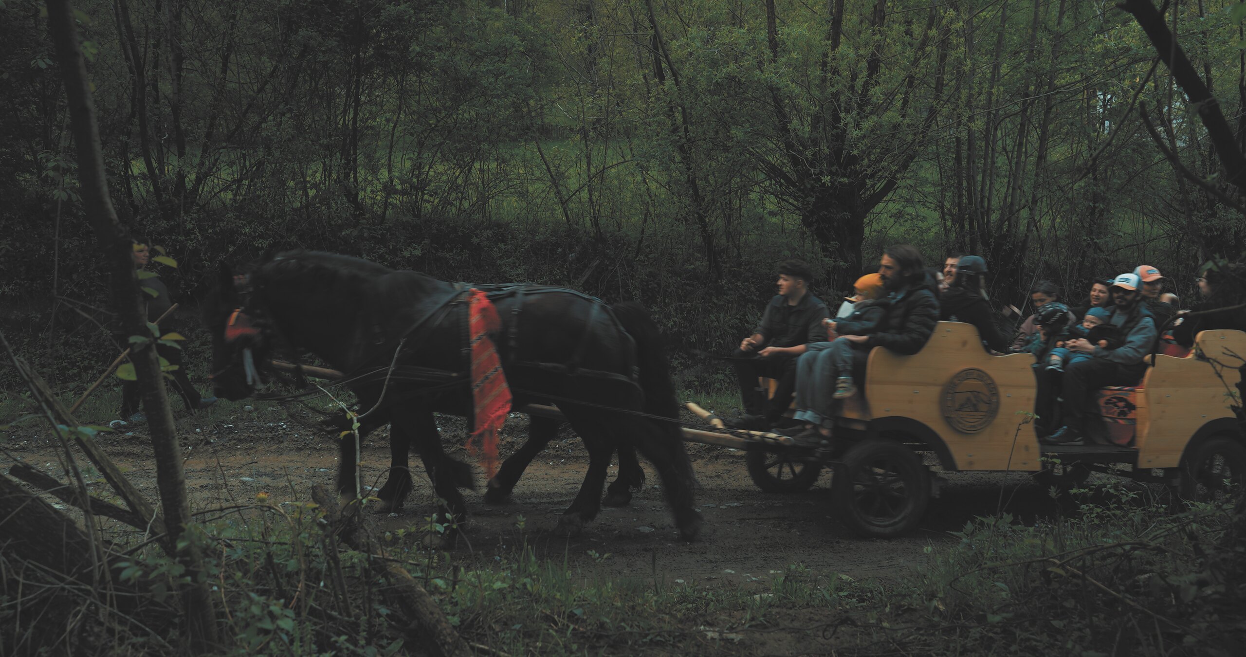 Two black horses pull a wooden carriage full of guests along a forest track