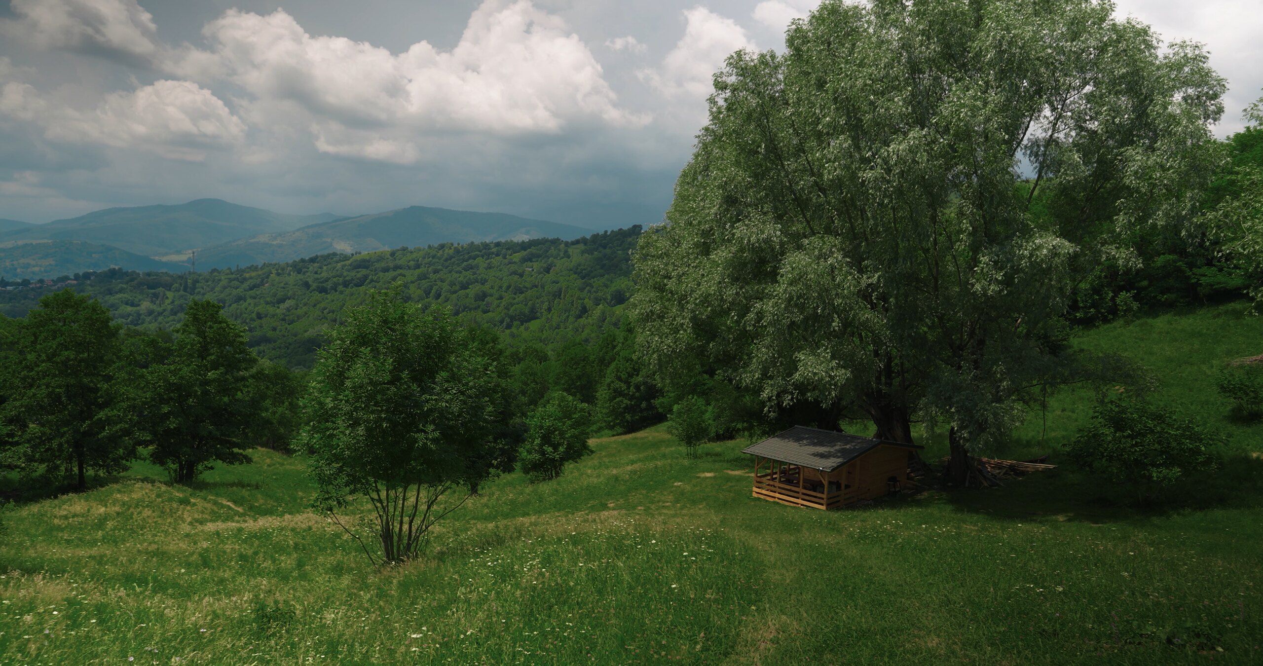 A green meadow with a large tree and a small hut, mountains under a cloudy sky
