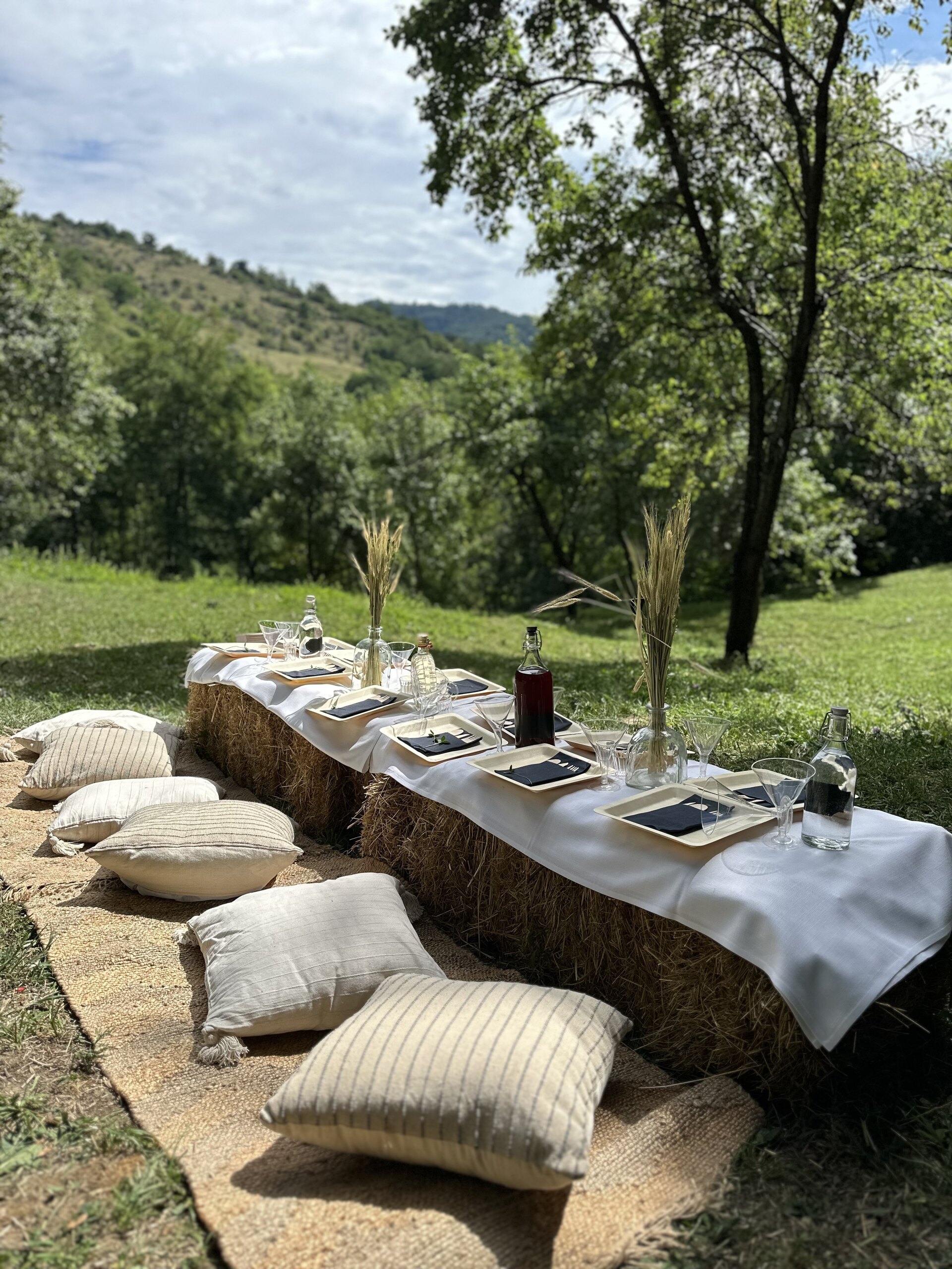 A low picnic table with cushions set on the grass under tall trees