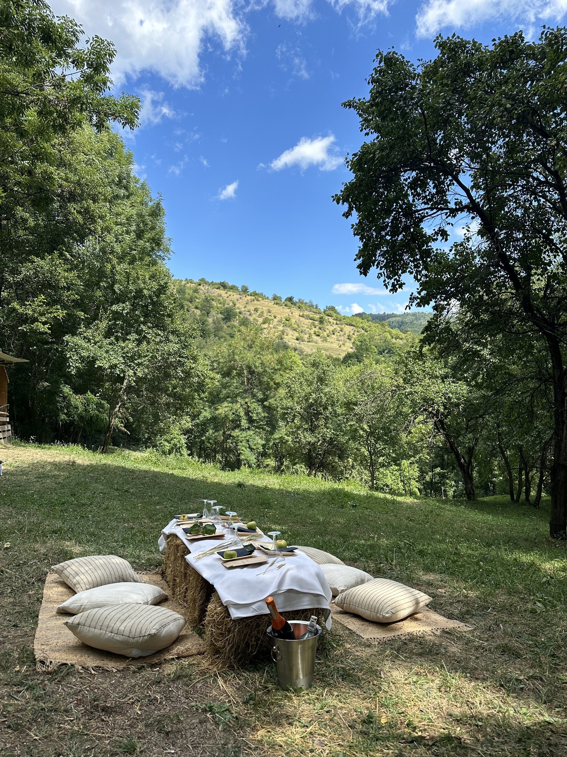 A picnic table with cushions set in a meadow above the valley, trees around