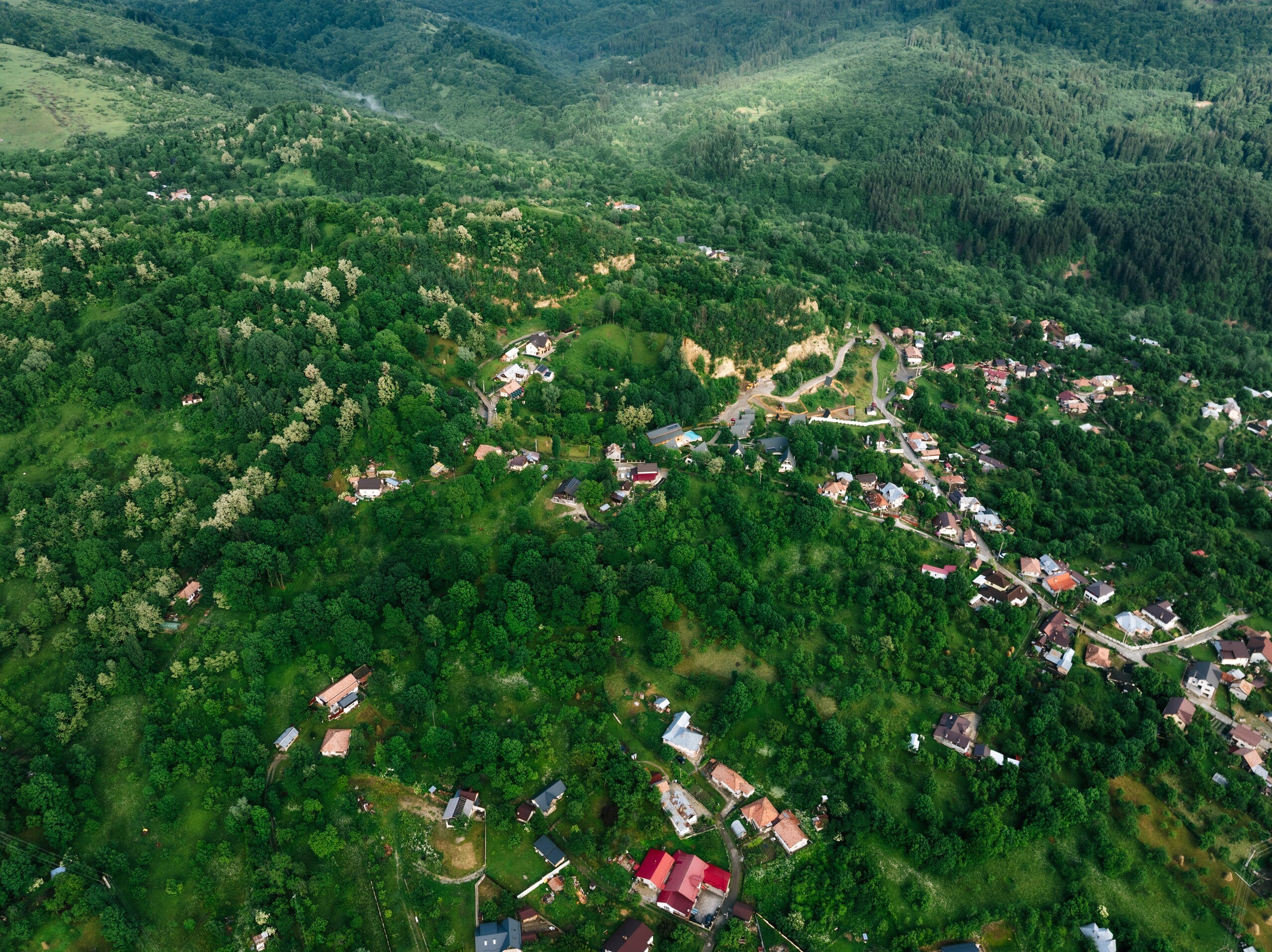 Wooded hills with scattered houses and winding roads, seen from above