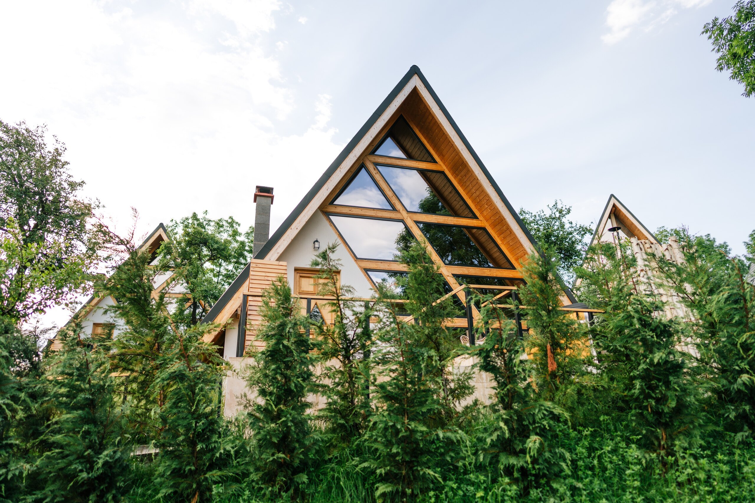 Two A-frame houses with glass fronts seen through young trees, blue sky above